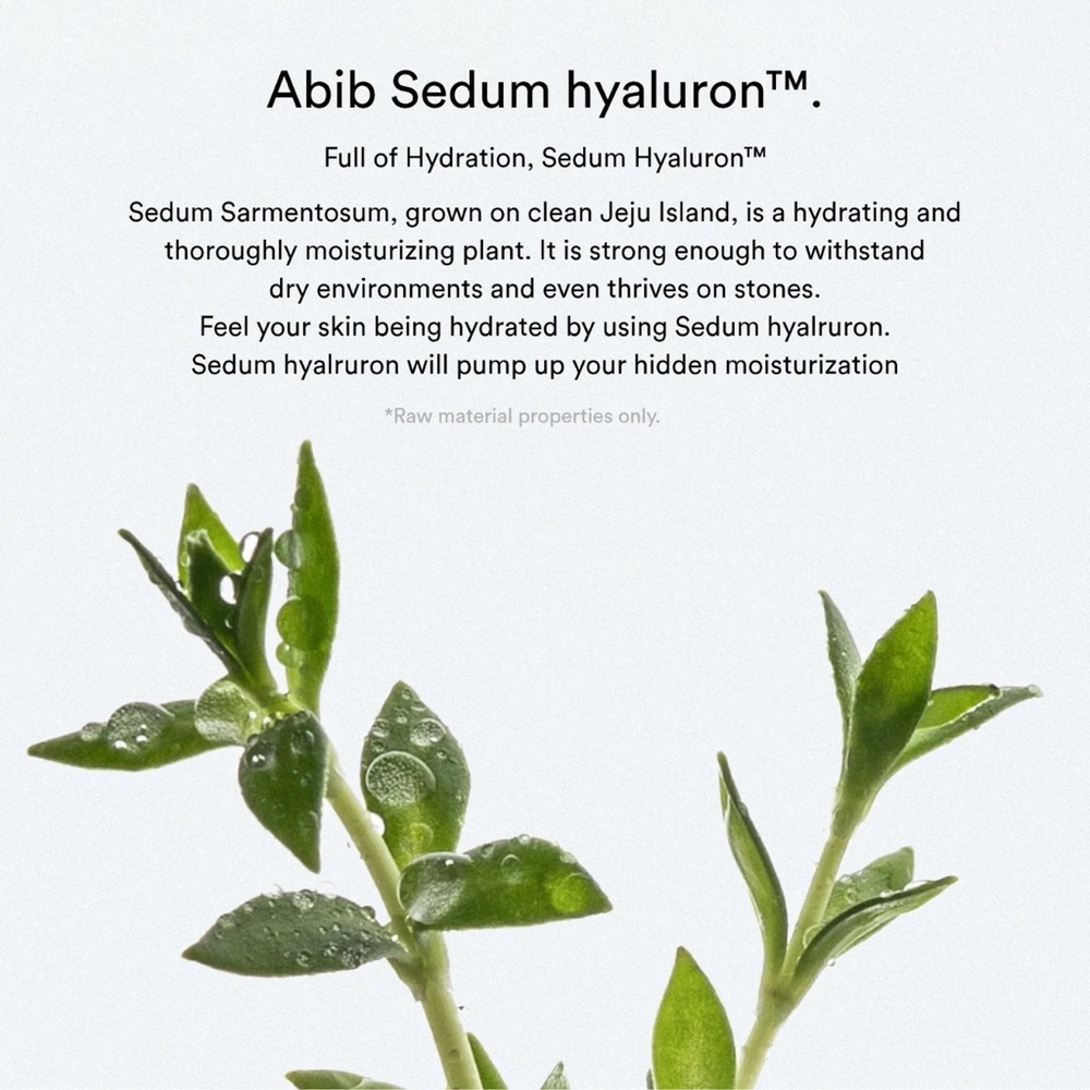 ABIB Sedum Hyaluron Crème Hydrating Pot 80ml Korean Skincare - Picture 3 of 10